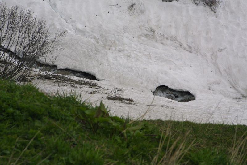 00038.jpg - Water rushing below the snow.