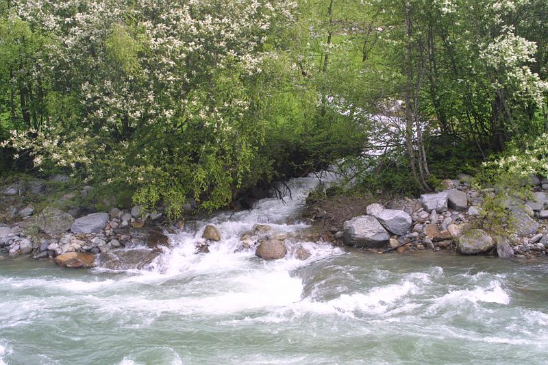 00041.jpg - A stream entering the Rosannaweg at St. Anton am Arlberg.