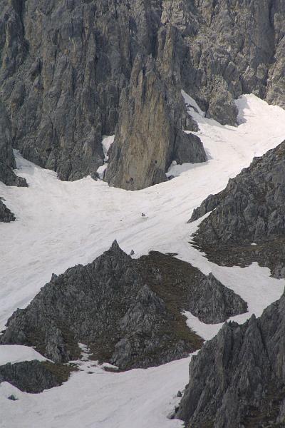 00202.jpg - There is a snowboarder on the slope somewhere there.