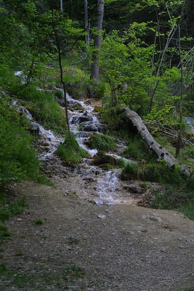 00213.jpg - Along the path to the Aplenzoo.