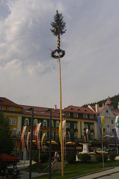 00583.jpg - These decorated poles were seen everywhere.