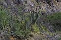 img0040