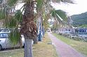 img0055