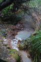 img0080