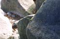img0121