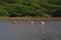 img0217