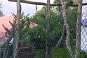 img0219