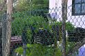 img0220