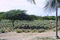 img0244