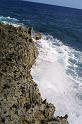 img0262