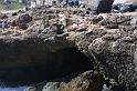 img0264
