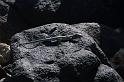 img0271