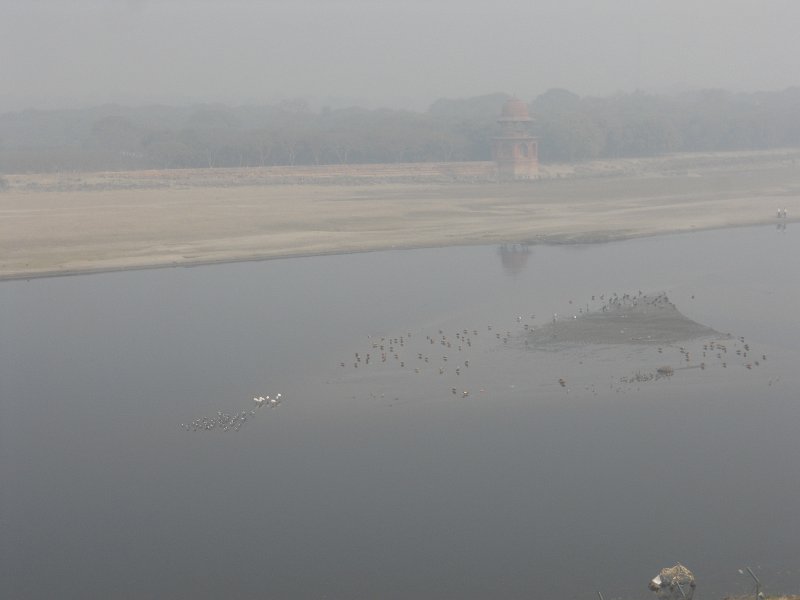2132229_RiverFromTheTajMahal.jpg - Birds in the river behind the Taj Mahal.