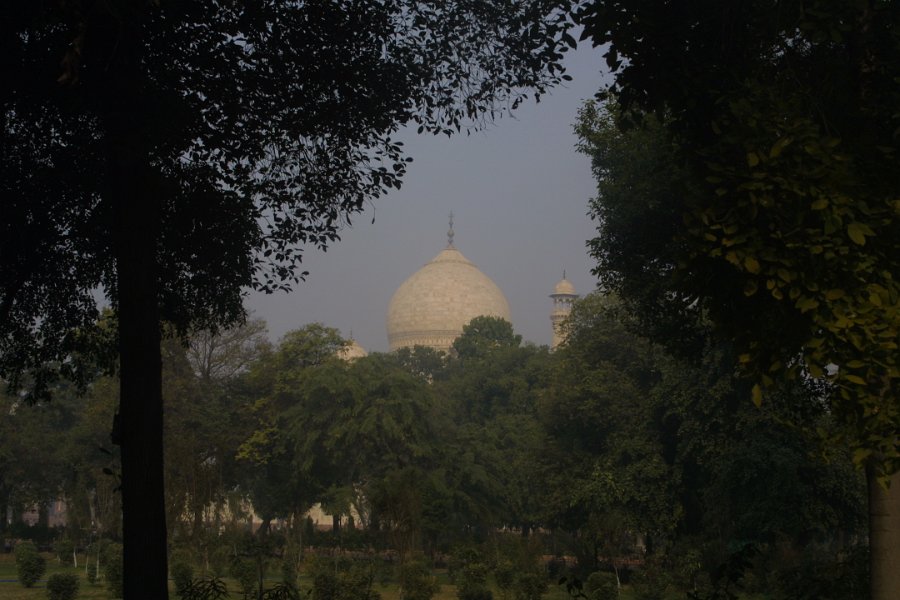 2146000_TajMahalAndTrees.jpg - View of the Taj Mahal over the trees.