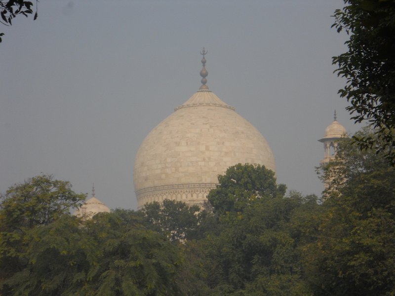 2146251_TreesAndTajMahal.jpg - View of the Taj Mahal over the trees.