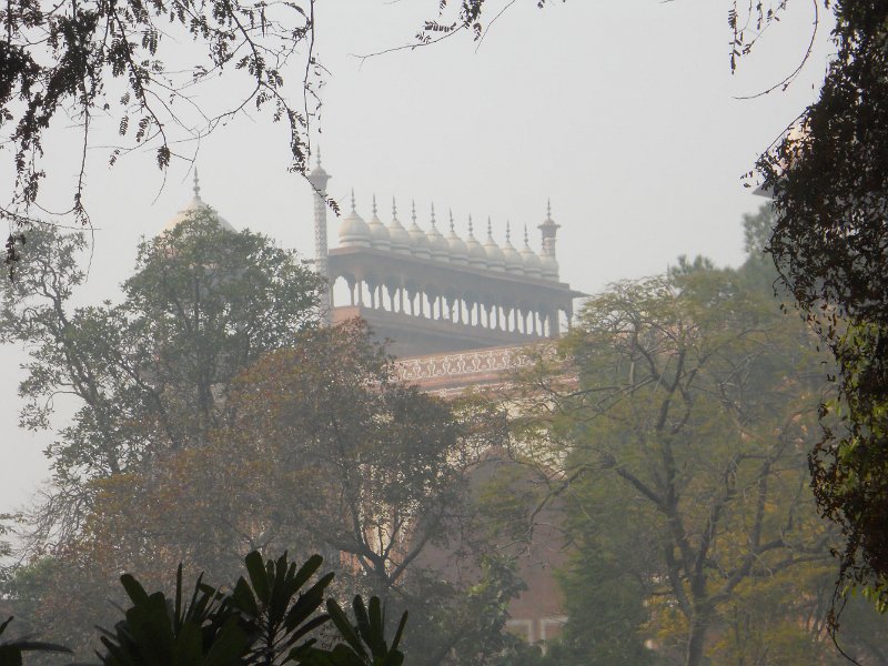 2146252_TreesAndGateHouseTajMahal.jpg - View of the Gate House over the trees.