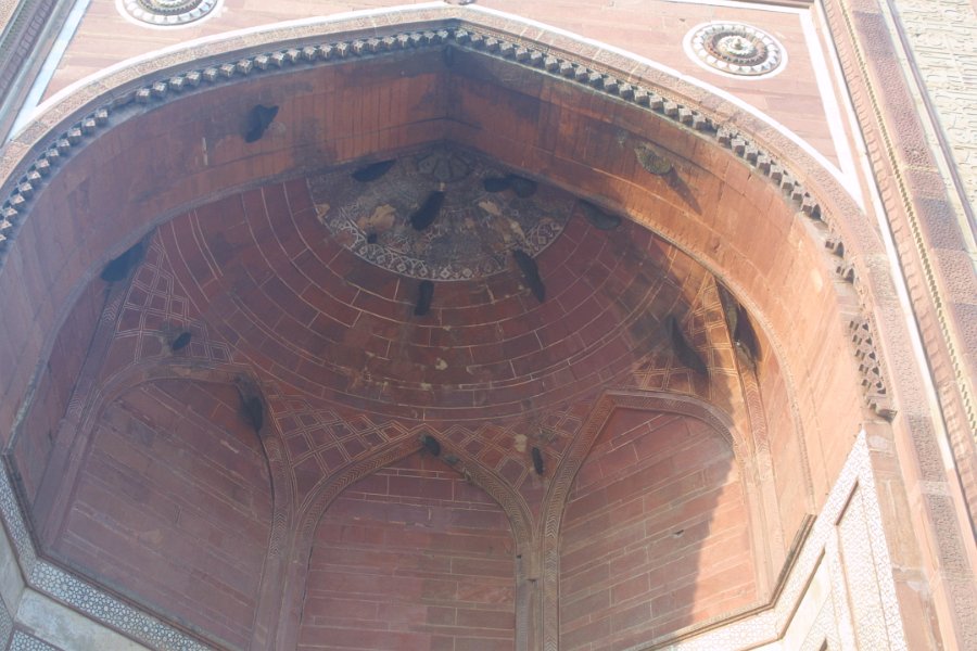 2229000_FatehpurSikri.jpg - Bee hives inside the entrance to the mosque. Fatehpur Sikri.