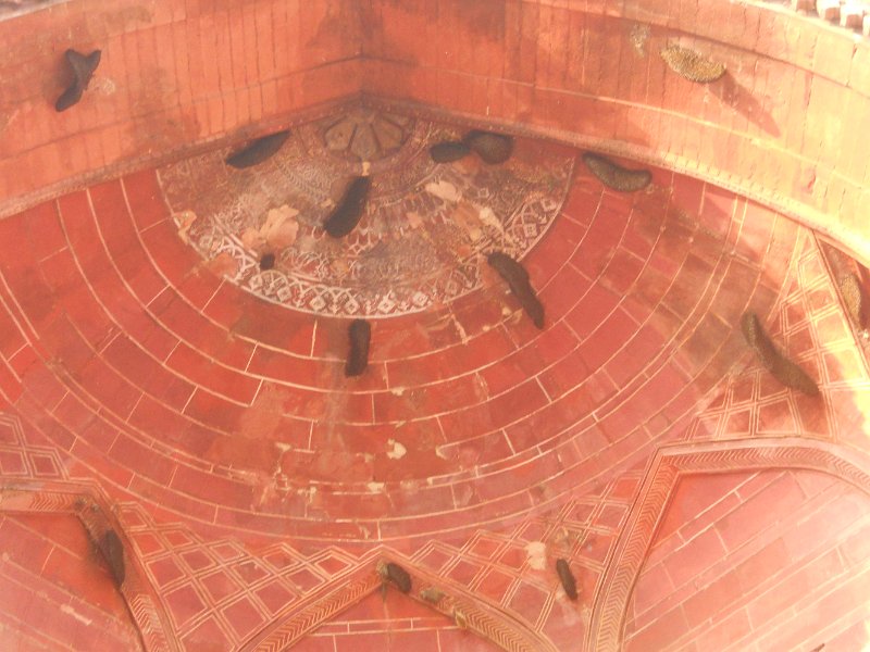 2229343_FatehpurSikri.jpg - Bee hives inside the entrance to the mosque. Fatehpur Sikri.