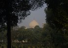 2146000_TajMahalAndTrees