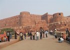 2151258_AgraFort
