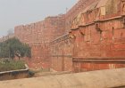 2153261_AgraFort