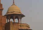 2168000_AgraFort