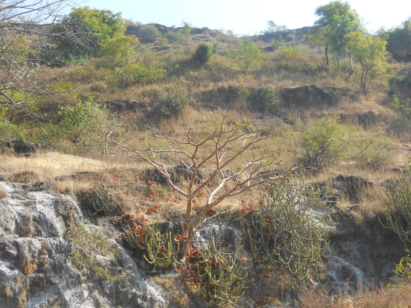 2077159_ElloraCaves.jpg - Countryside around the Ellora Caves.