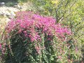 2045105_AjantaCaves