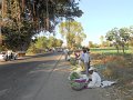 2059138_FarmersMarketNearAdjanta