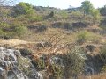 2077159_ElloraCaves