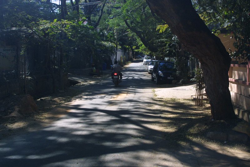 1004000_DefenceColony.jpg - Street in front of Jen and Martin's place. Defence Colony, Bangalore.