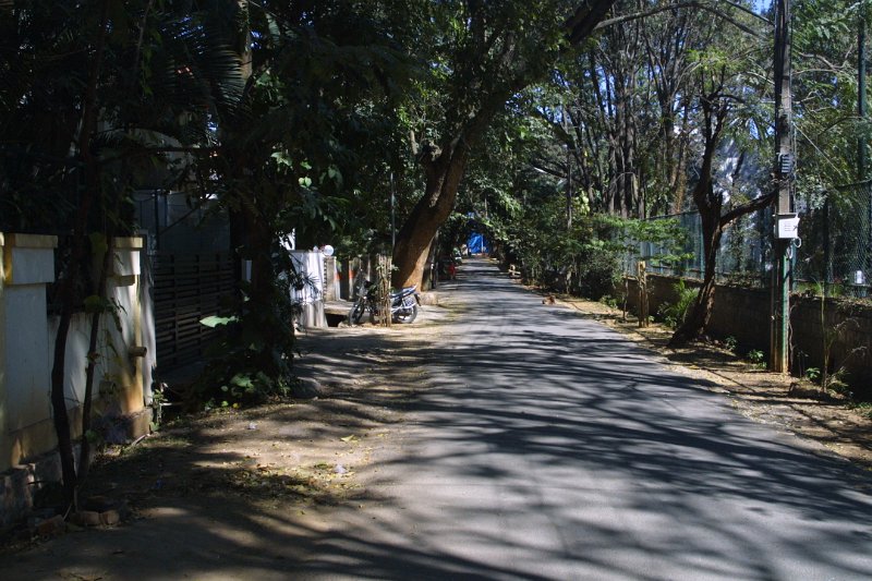 1005000_DefenceColony.jpg - Street in front of Jen and Martin's place. Defence Colony, Bangalore.