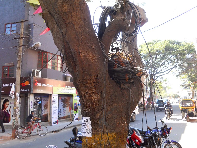 1014589_WiresBangalore.jpg - Street sceen in Bagalore. Note the electrical wires.