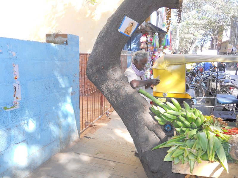 1020593_Bangalore.jpg - Man selling bananas. Bangalore.