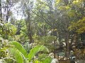 1001574_ViewFromBalconyDefenseColony