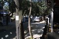 1012000_DefenceColony