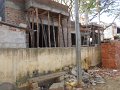 1012583_ScaffoldingDefenseColony