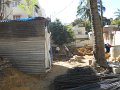 1012584_DiggingDefenseColony