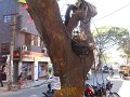 1014589_WiresBangalore