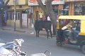 1020000_Bangalore