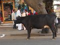 1020591_Bangalore