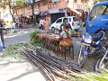 1020592_Bangalore