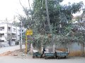 1029603_FourthCrossBangalore