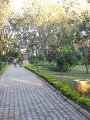 1036606_ParkDefenseColony