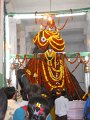1051616_NandiOfBigBullTemple
