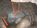 1051618_NandiOfBigBullTemple