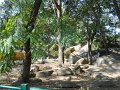 1053619_GardenAtBigBullTemple