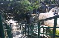 1062000_BullTempleBangalore