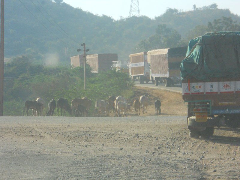 1430728_WaitingForATrain.jpg - Trucks on the national highway.
