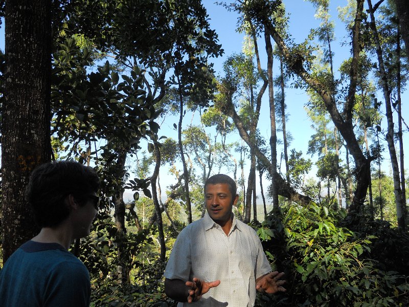 1432743_CoffeePlantationOwnerKarnataka.jpg - The plantation owner explaining stuff to Jen.